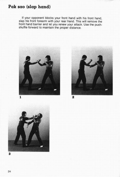 Jeet Kune Do: Entering to Trapping to Grappling by Larry Hartsell
