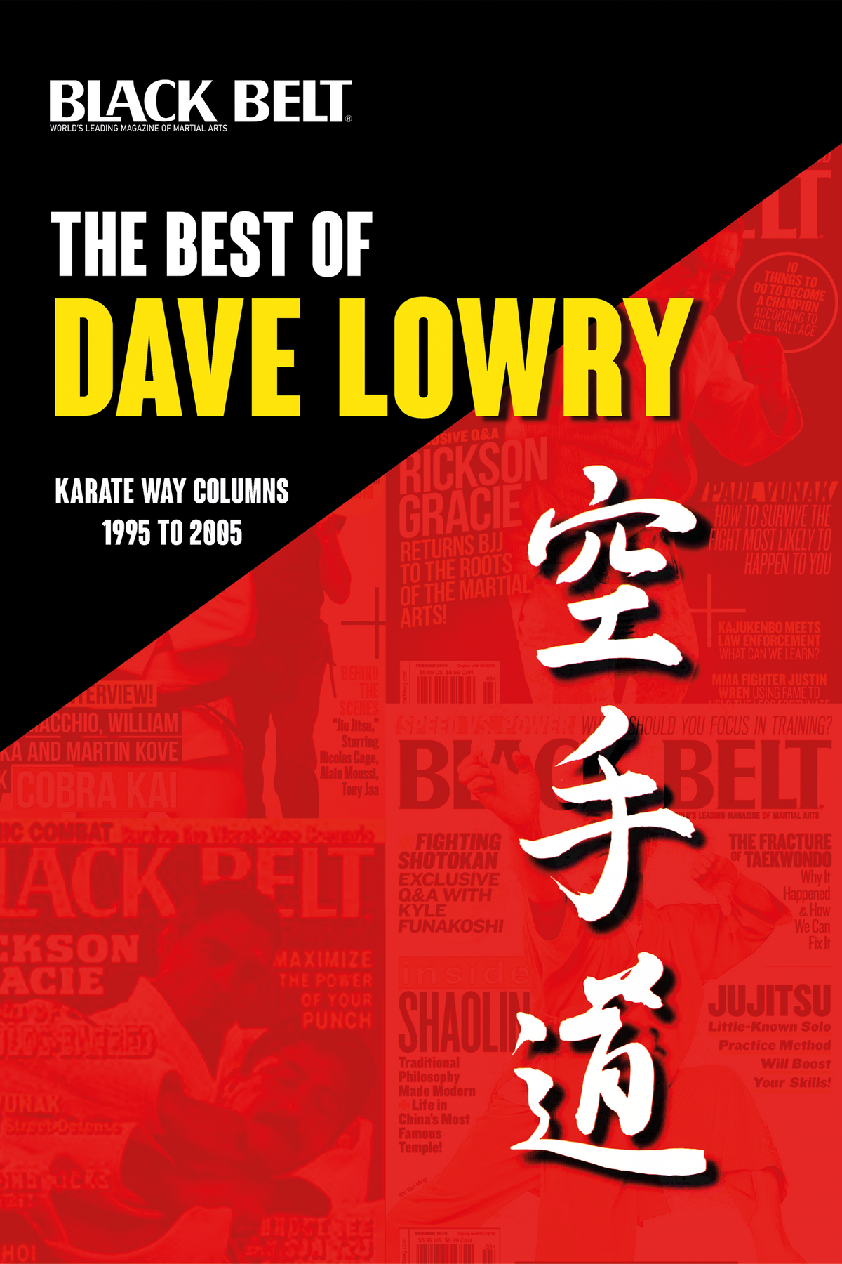 DIGITAL E-BOOK Best of Dave Lowry: Black Belt Karate Way 1995-2005