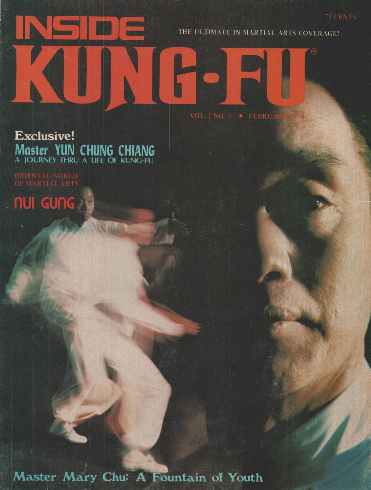 Inside Kung Fu Magazine February 1974 74/02 *COLLECTIBLE*