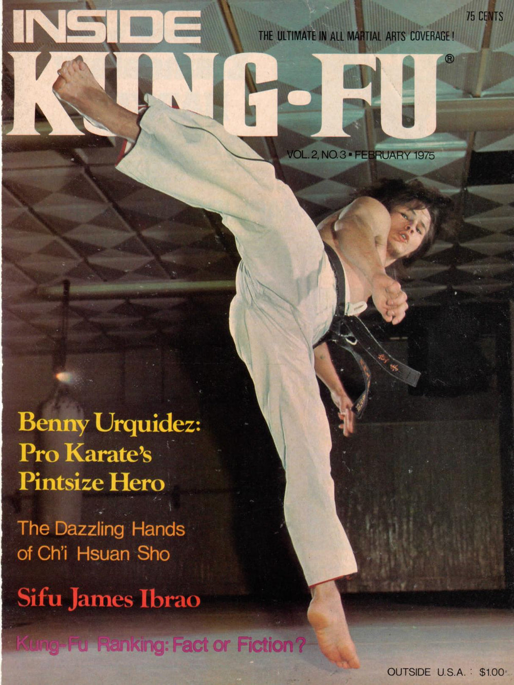 DIGITAL MAGAZINE Inside Kung Fu  February 1975 75/2