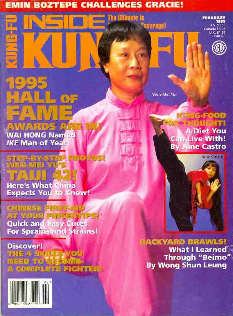 DIGITAL MAGAZINE Inside Kung Fu  February 1995 95/02
