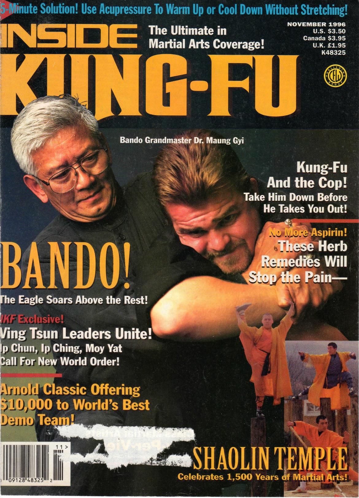 Inside Kung Fu Magazine November 1996 96/11   *COLLECTIBLE*