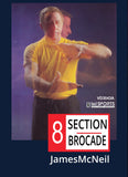 8 Section Brocade DVD James McNeil ancient chinese exercises for chi cleansing