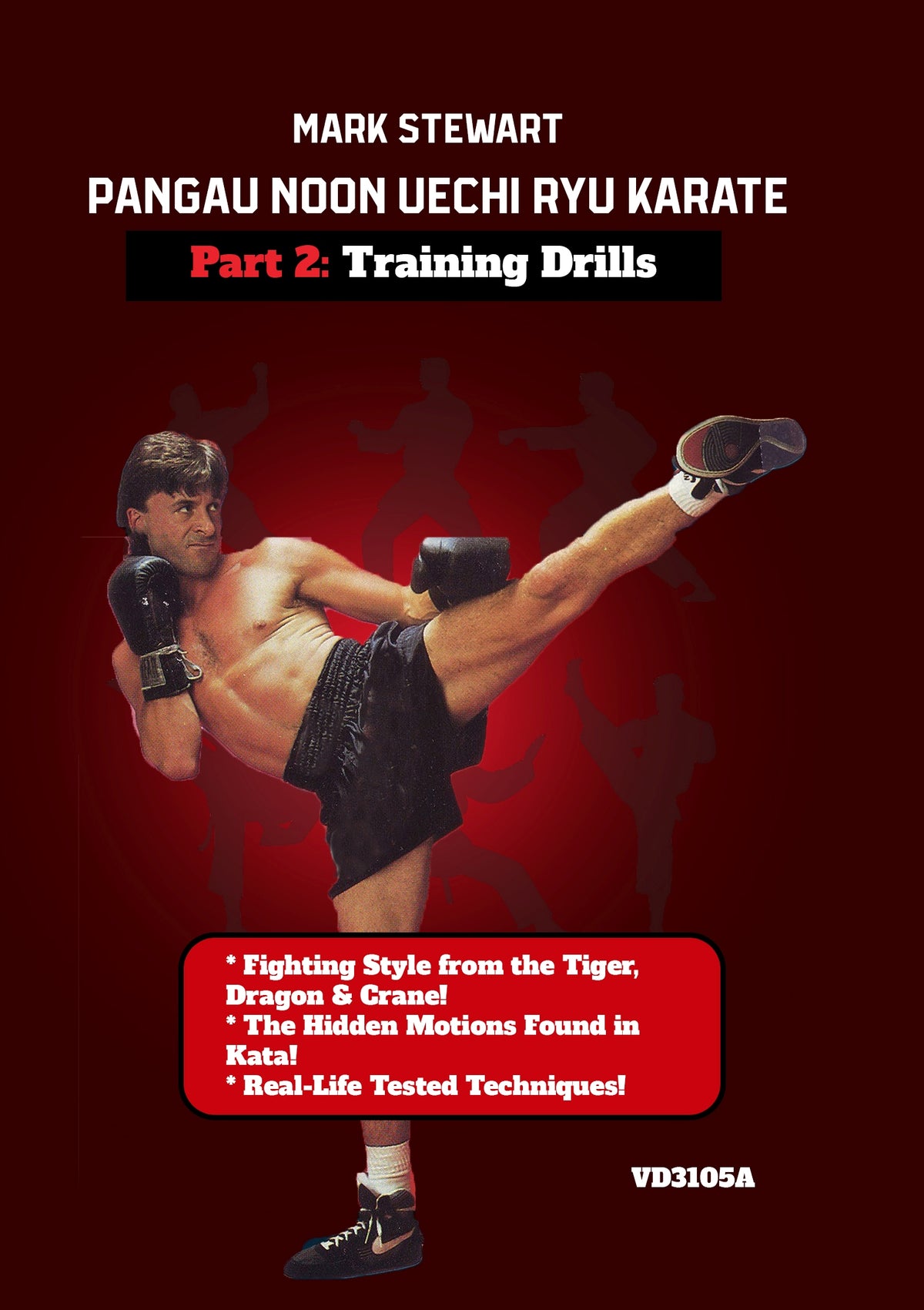 Pangau Noon Uechi Ryu Karate #2 Training Drills DVD Mark Stewart