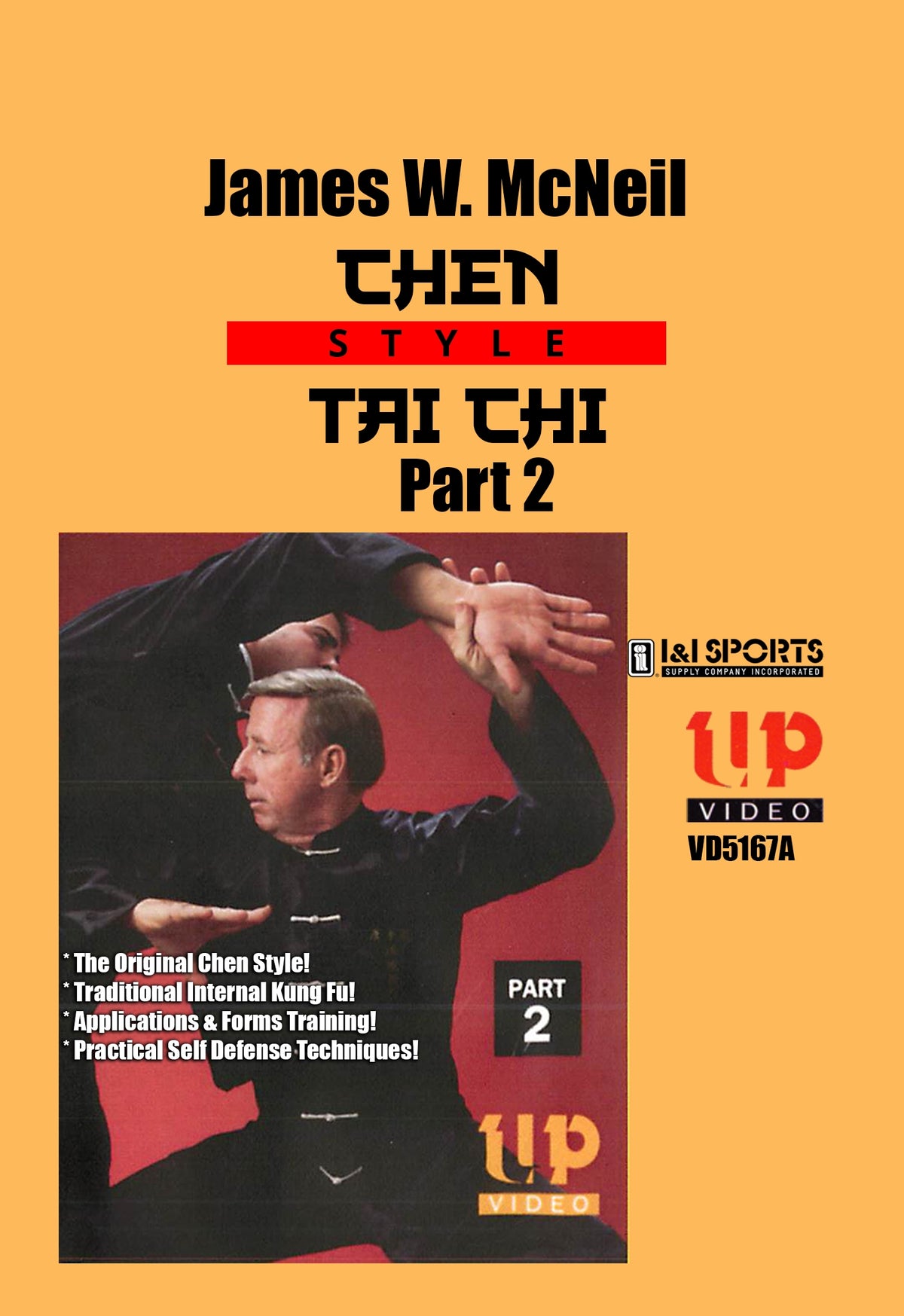 Chen Style Tai Chi Chuan Form 23-64 movements #2 DVD James McNeil kung fu