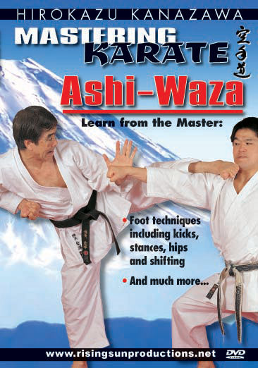 9 DVD SET Hirokazu Kanazawa Mastering Karate