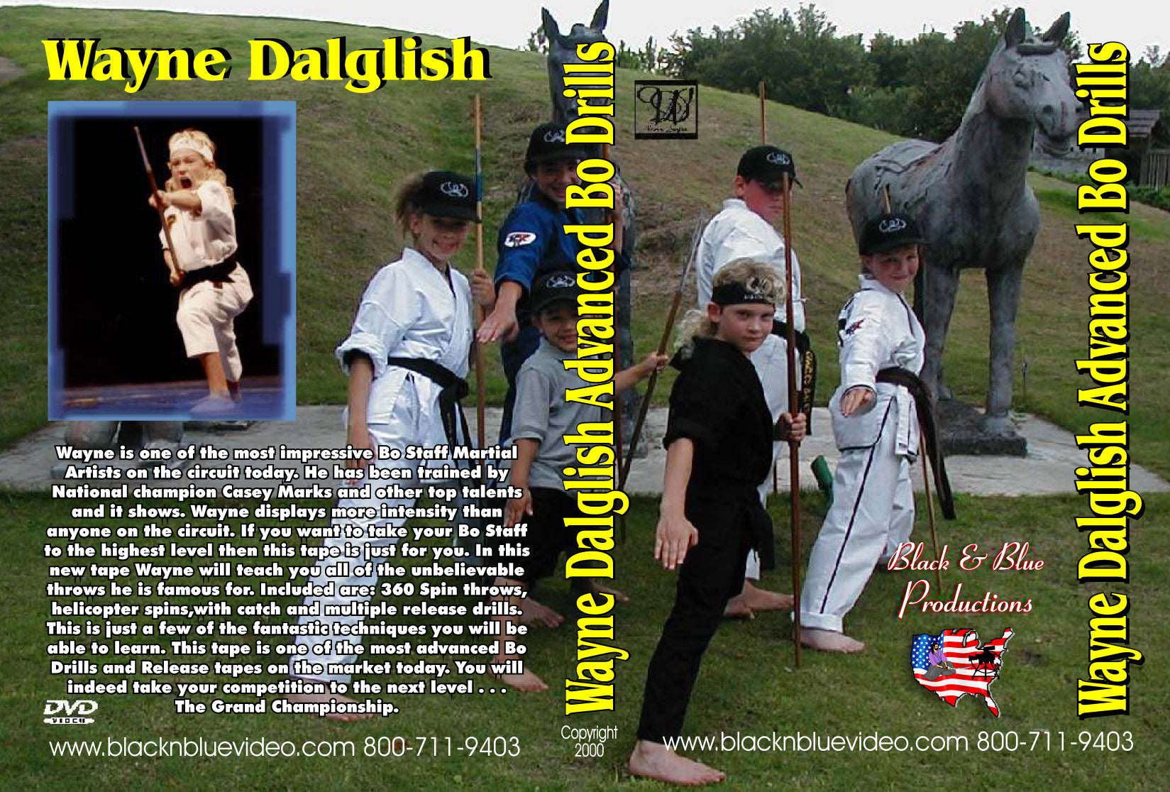 Tournament Karate Advanced Bo Staff Champion Drills & Techniques DVD Wayne Dalglish