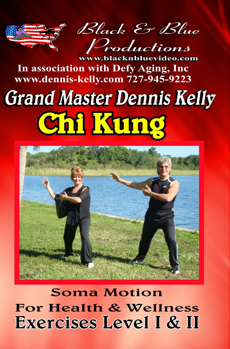 Chi Kung 1 & 2 Exercises: improve balance, stress, burn fat DVD Dennis Kelly