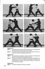 Shaolin Long Fist Chinese Kung Fu Book Yang Jwing-Ming & Jeff Bolt
