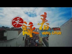 I Love Wing Chun movie DVD