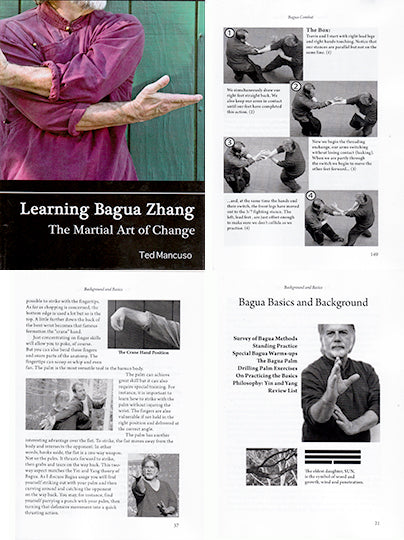 Learning Bagua Zhang Chinese Martial Art Change book Ted Mancuso Qigong fighting