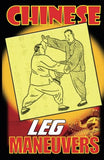 DIGITAL E-BOOK Chinese Leg Maneuvers by Master Y. Wang