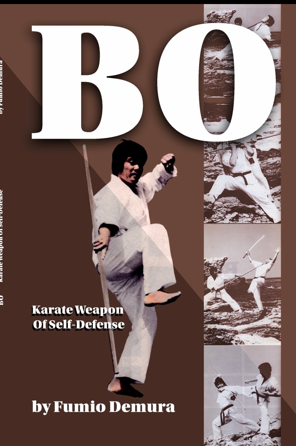 DIGITAL E-BOOK Bo Karate Weapon Self Defense by Fumio Demura