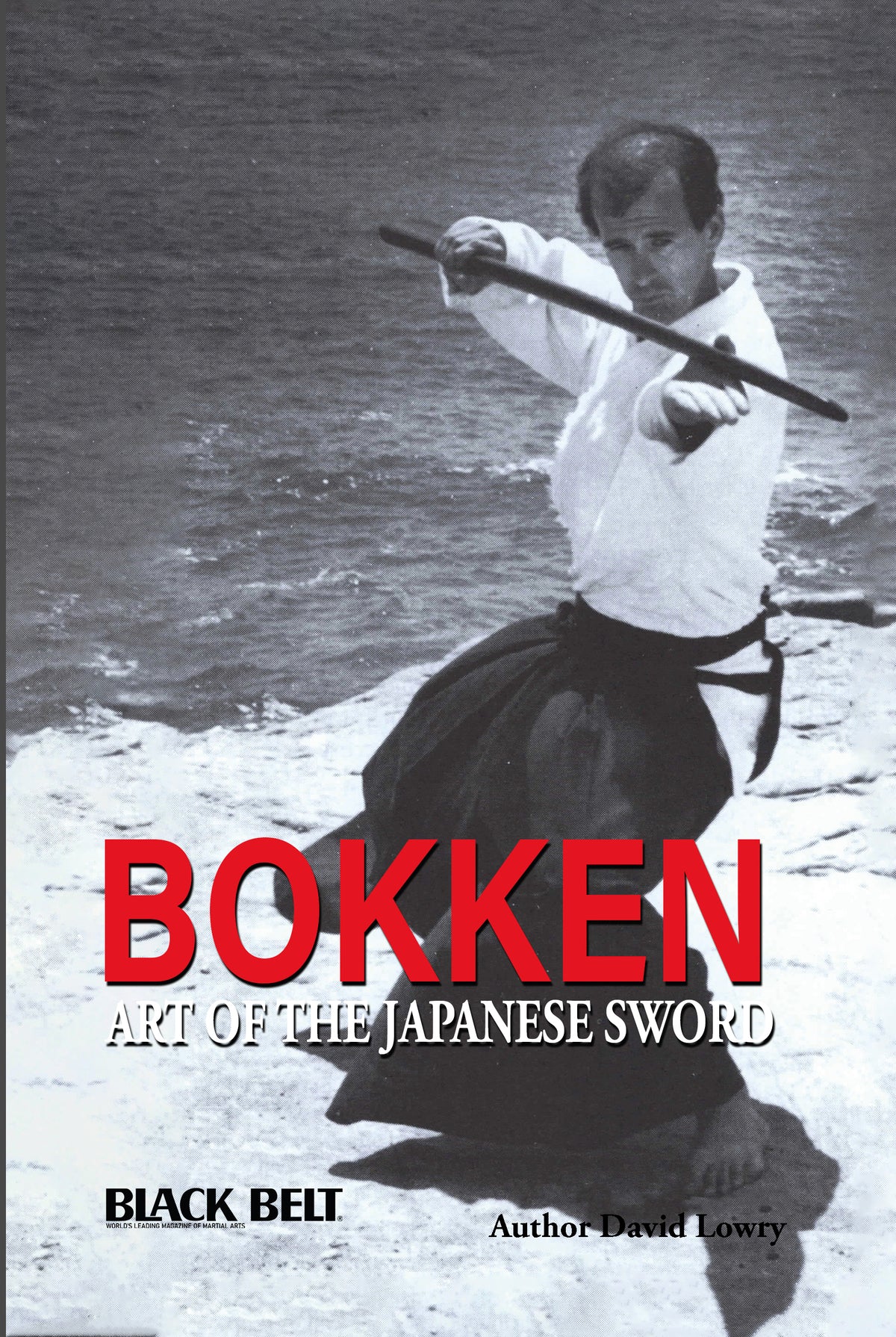 DIGITAL E-BOOK Bokken Art of Japanese Sword - David Lowry