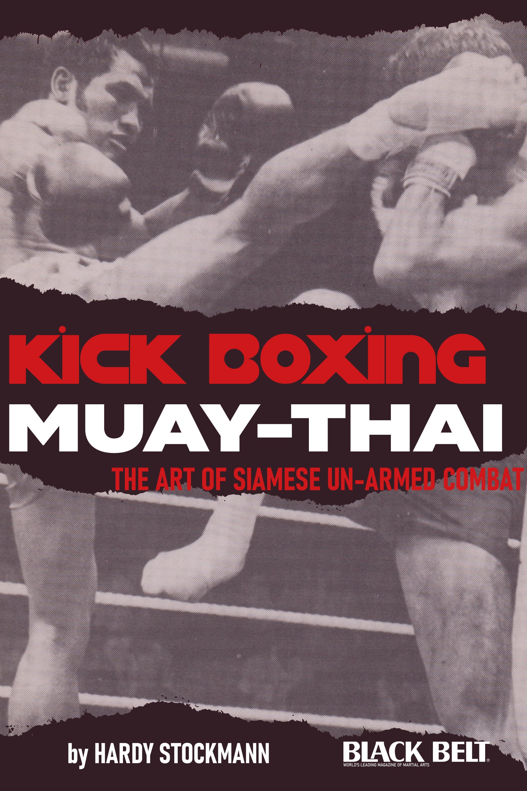 DIGITAL E-BOOK Kickboxing Muay Thai - Hardy Stockmann