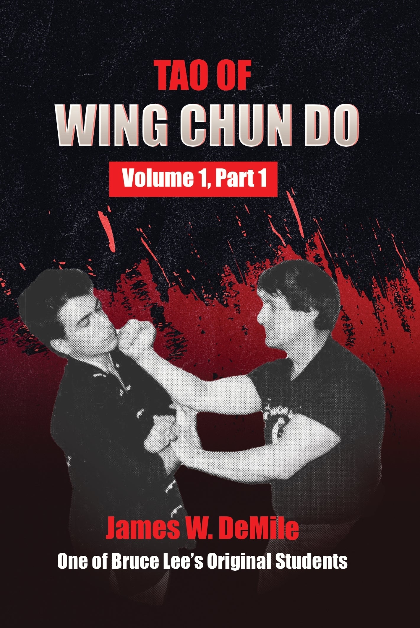 Tao of Wing Chun Do Vol 1 Part 1 Book James DeMile