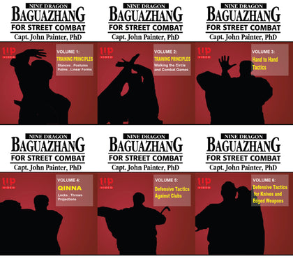 6 DVD SET Nine Dragon Baguazhang Street Combat Basics - Advanced John Painter
