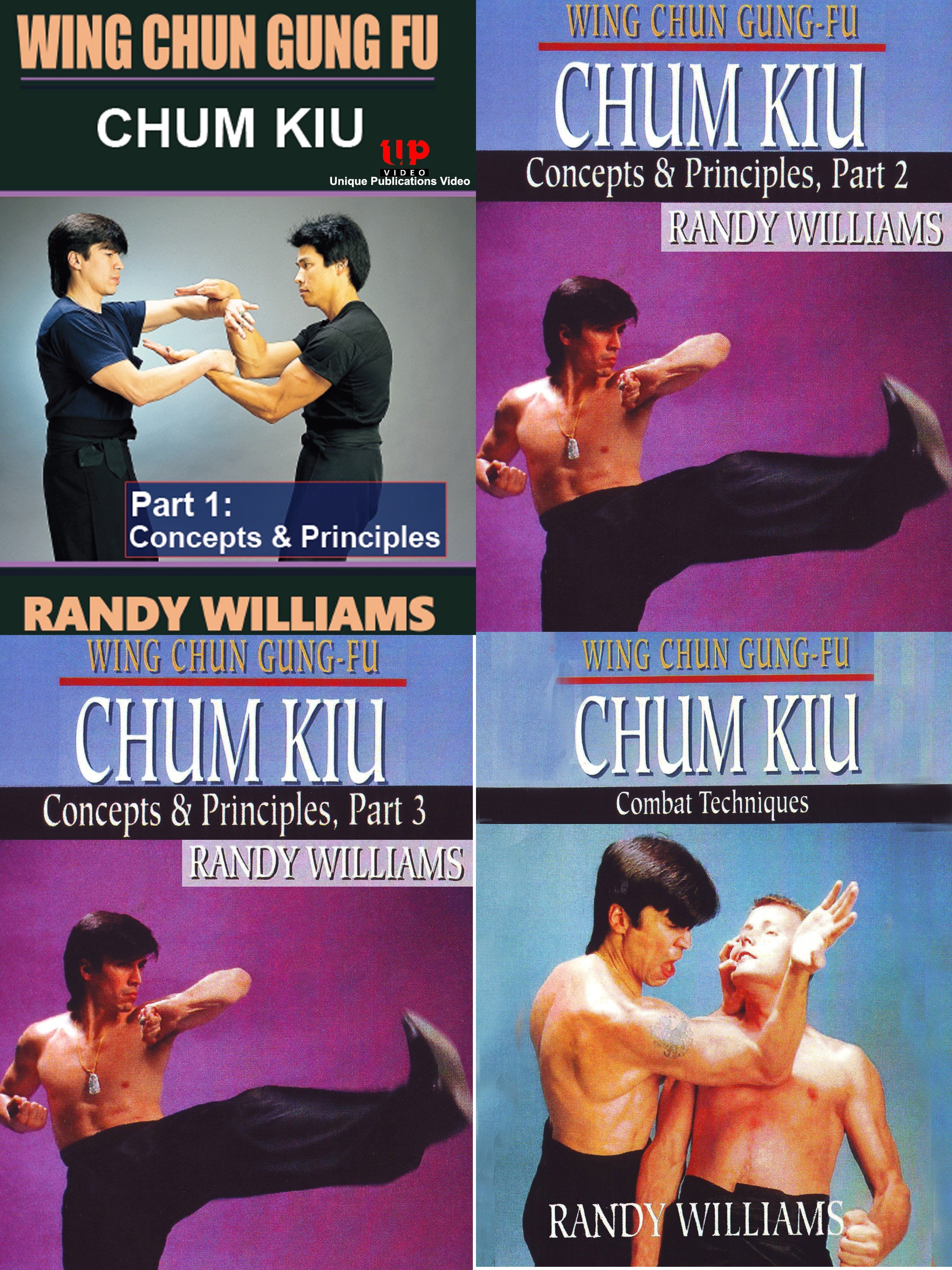 28 DVD SET Wing Chun Gung Fu Complete Training Program - Master Randy Williams