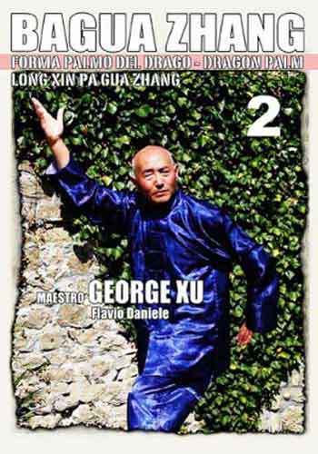 Bagua Zhang Dragon Palm #2 DVD Xu