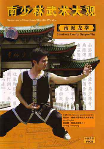 Dragon Fist Kung Fu DVD