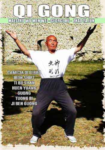 Qi Gong DVD We Xu Jun SPANISH ONLY