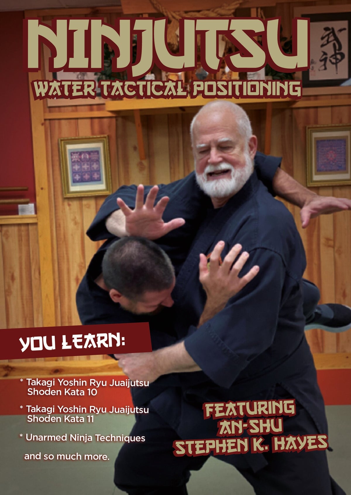 Ninjutsu Water Tactical Positioning DVD Stephen Hayes takagi yoshin ryu juaijutsu