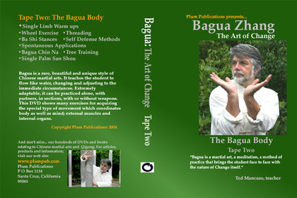 Chinese Bagua Art of Change #2 DVD Ted Mancuso eight changing palms kung fu