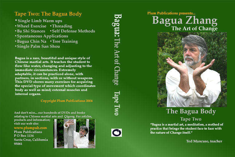 Chinese Bagua Art of Change #2 DVD Ted Mancuso eight changing palms kung fu