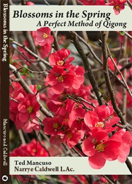 Taoist Blossoms in Spring Perfect Method Qigong DVD Nancy Caldwell Ted Mancuso