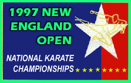 1997 Baptista New England Open Karate Martial Arts Tournament DVD sparring forms