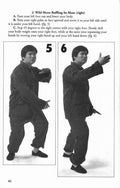 Beginner Tai Chi Chuan Book Vincent Chu Taoist philosophy holistic health