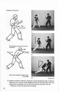 American Freestyle Karate Book by Dan  Anderson