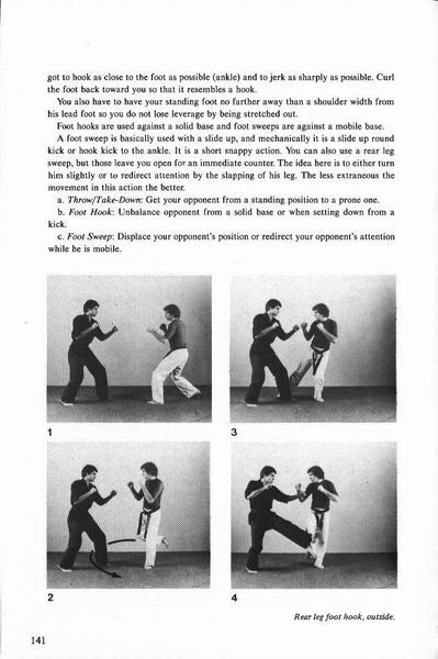 American Freestyle Karate Book by Dan  Anderson