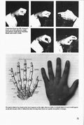 Complete Iron Palm Book - Brian Gray