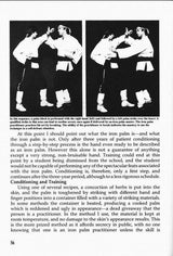 Complete Iron Palm Book - Brian Gray